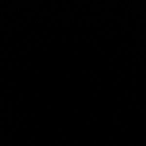 Meet your Posher, Leonardo